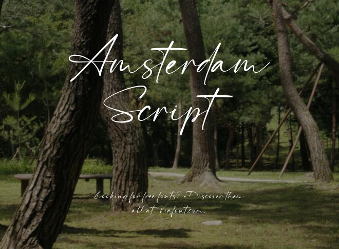Amsterdam Script Font