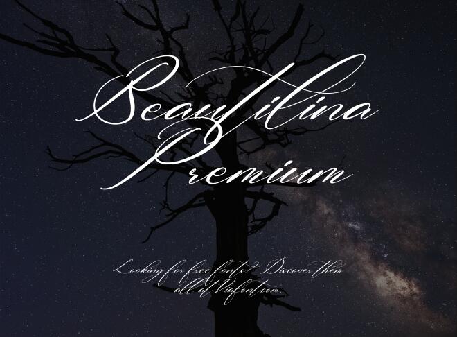 Beautilina Premium Font