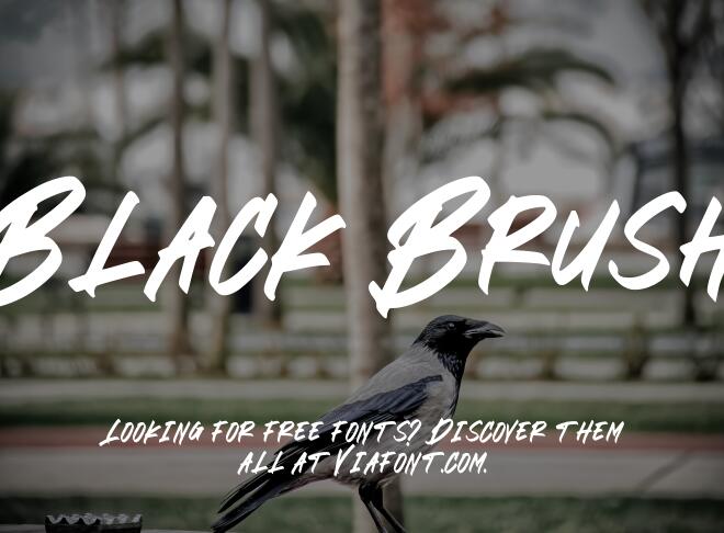 Black Brush Font