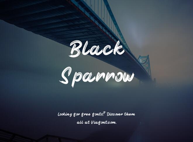 Black Sparrow Font