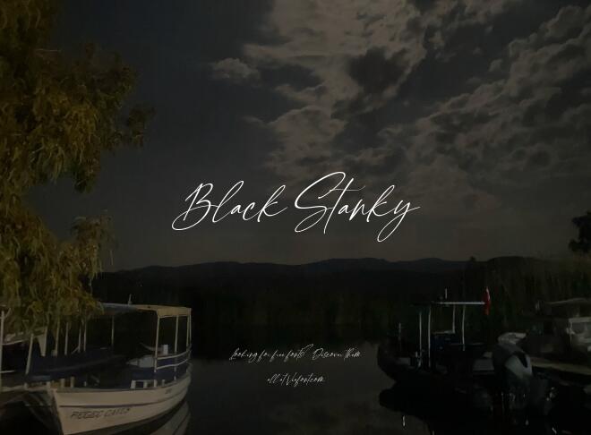 Black Stanky Font