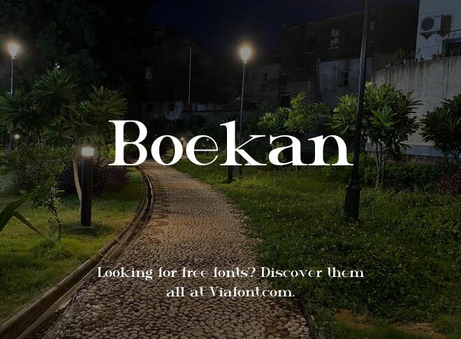 Boekan Font