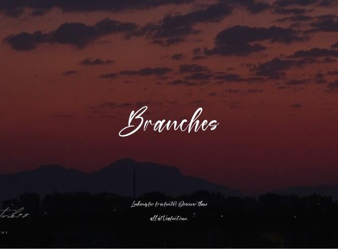 Branches Font