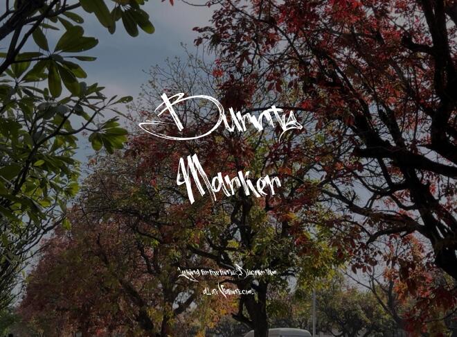 Burnts Marker Font