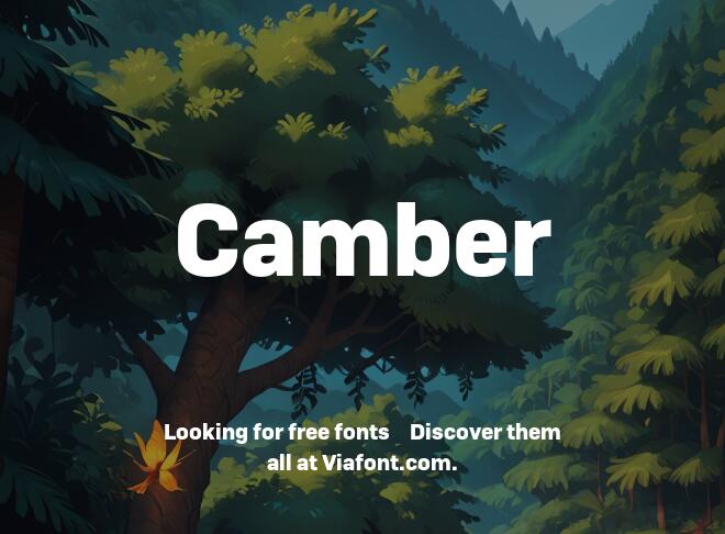Camber Font