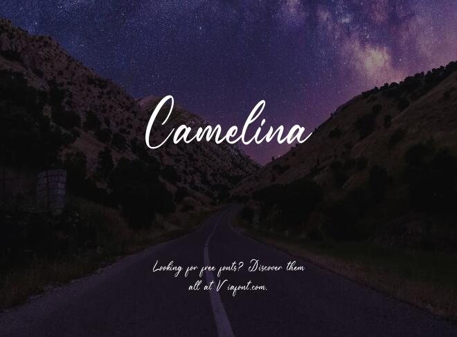 Camelina Font