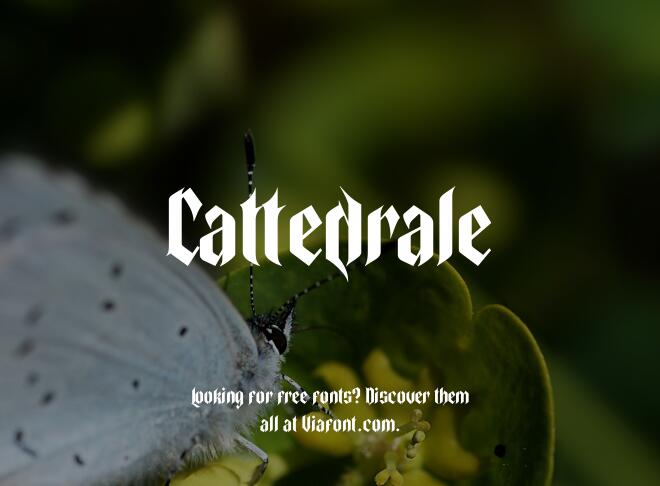 Cattedrale Font