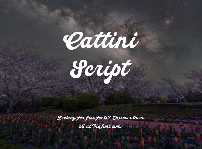 Cattini Script Font