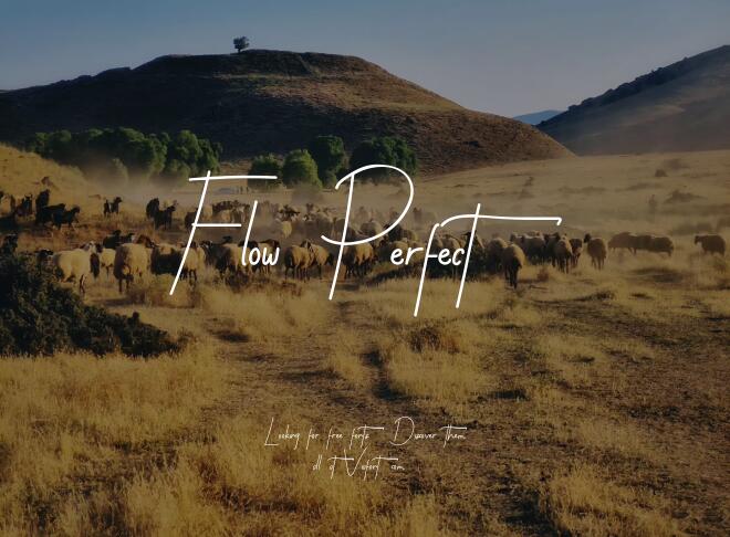 Flow Perfect Font