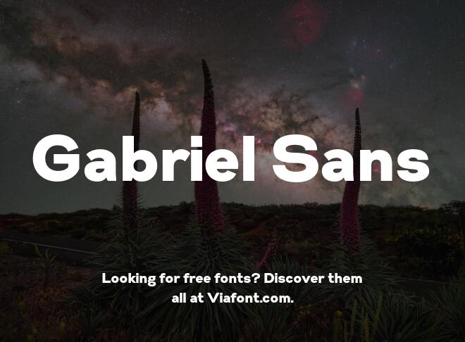 Gabriel Sans Font