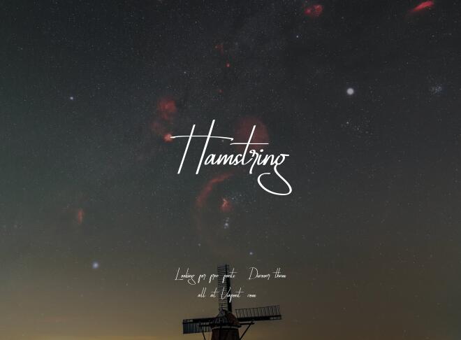 Hamstring Font