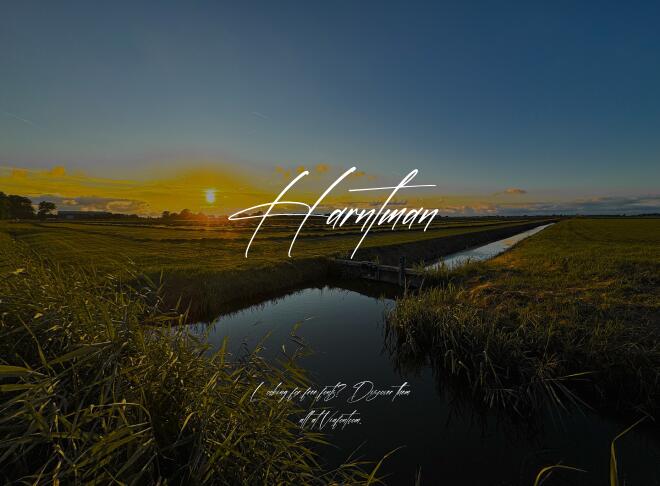 Harntman Font