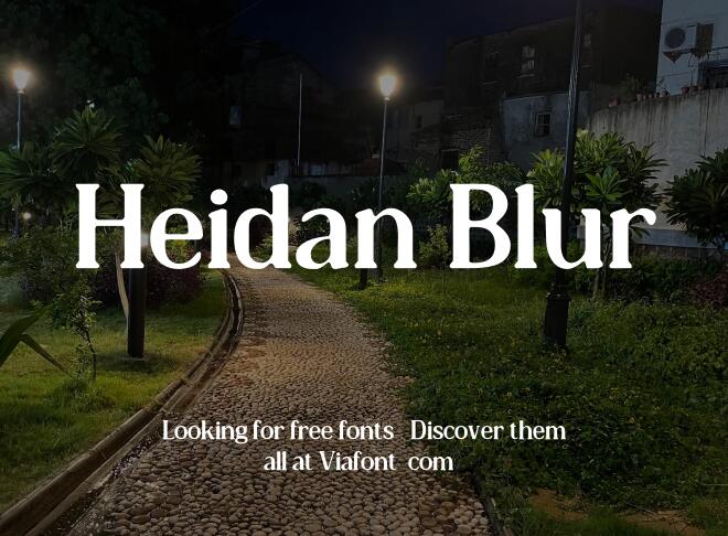 Heidan Blur Font