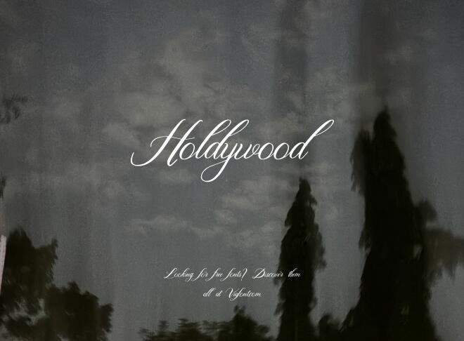 Holdywood Font
