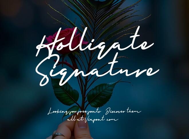 Holligate Signature Font