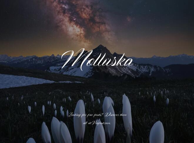 Molluska Font
