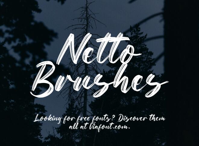 Netto Brushes Font