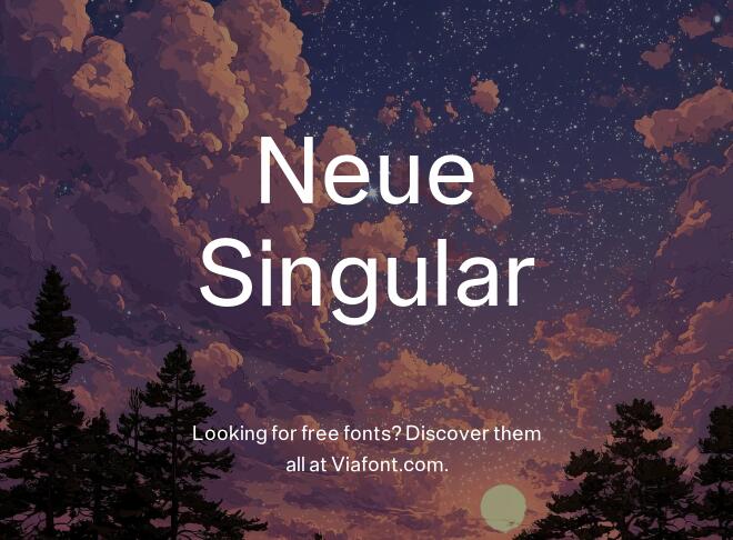 Neue Singular Font