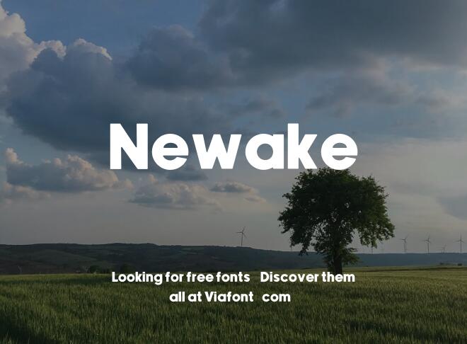 Newake Font