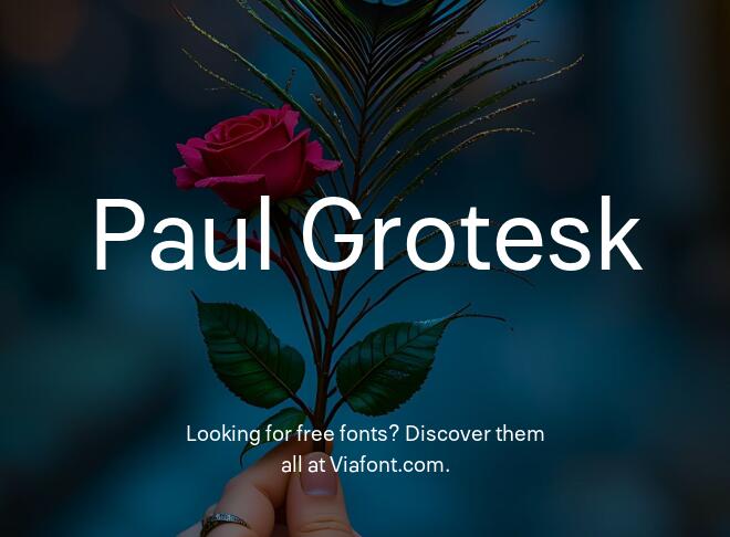 Paul Grotesk Font