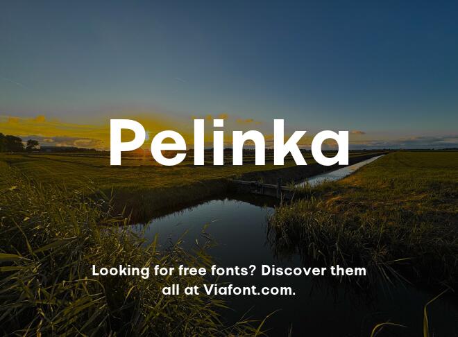 Pelinka Font