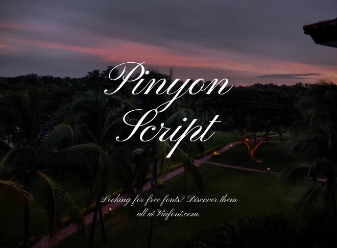 Pinyon Script Font