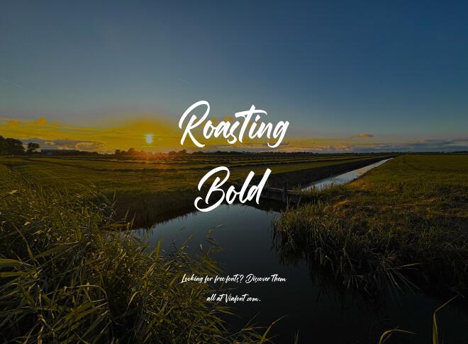 Roasting Bold Font