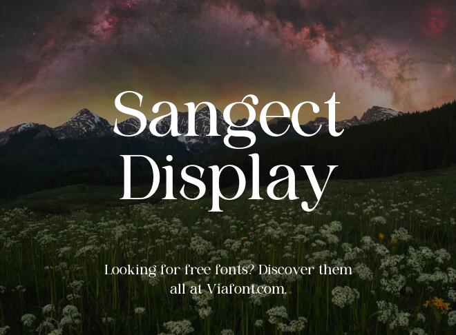 Sangect Display Font