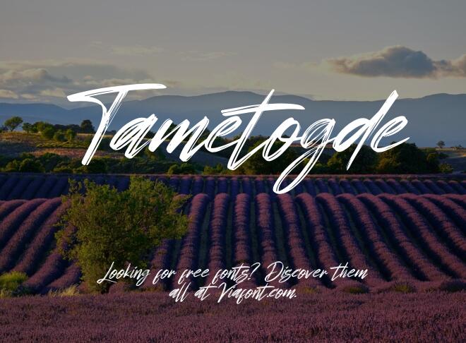 Tametogde Font
