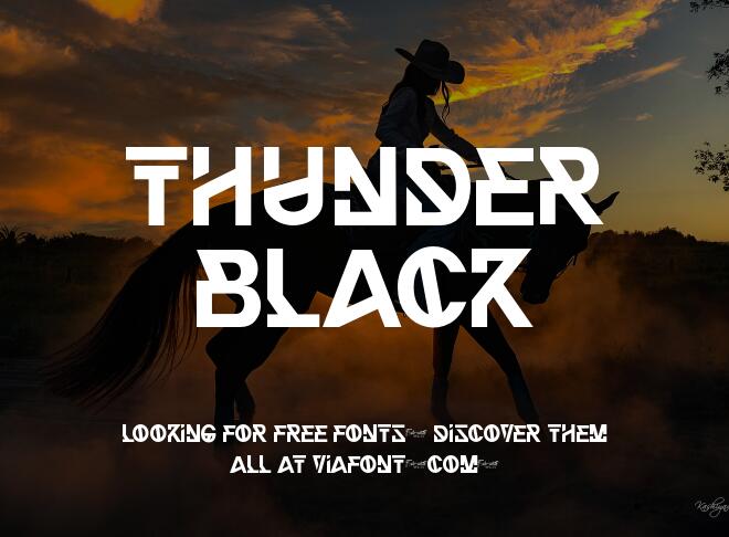 Thunder Black Font