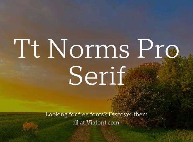 Tt Norms Pro Serif Font