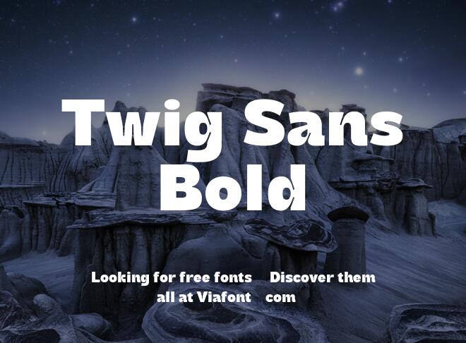Twig Sans Bold Font