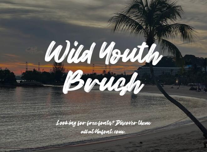 Wild Youth Brush Font