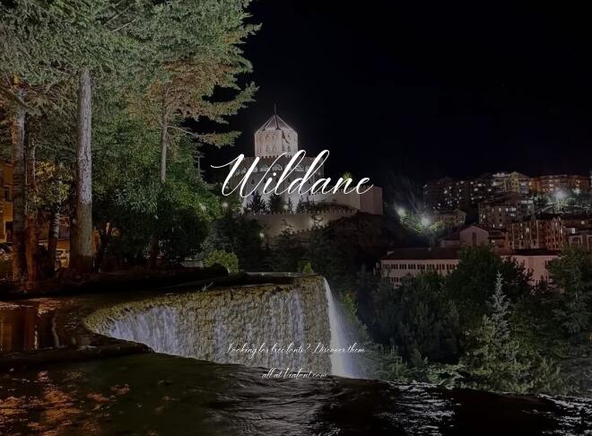 Wildane Font