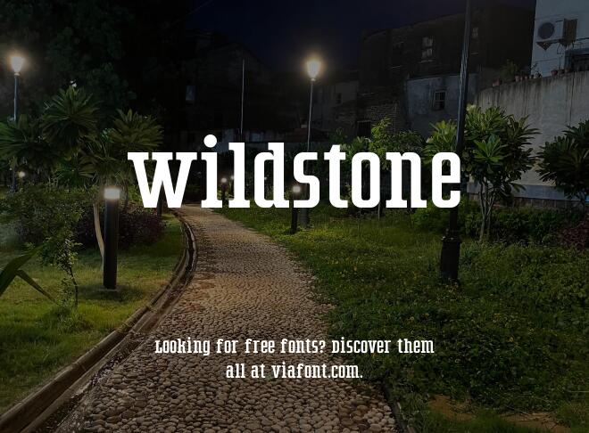 Wildstone Font