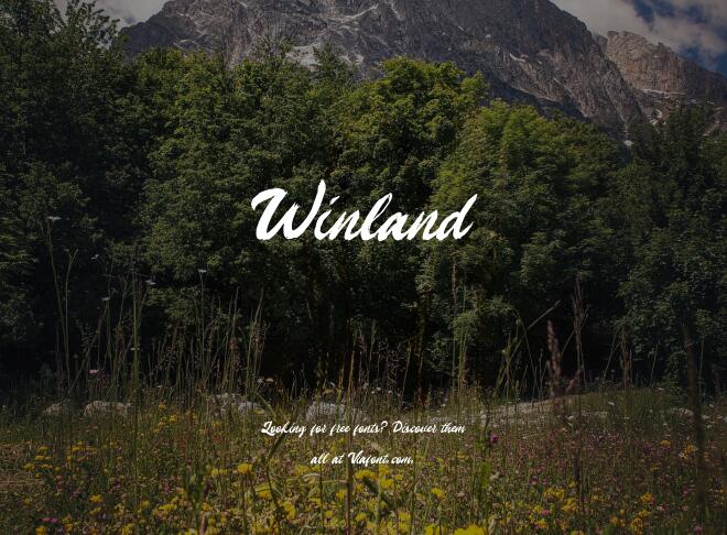 Winland Font